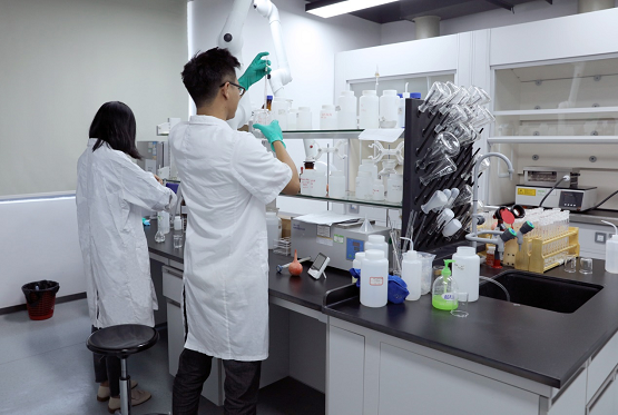 连获多项重磅荣誉，岭南股份以科创助力谱写城市发展新篇章