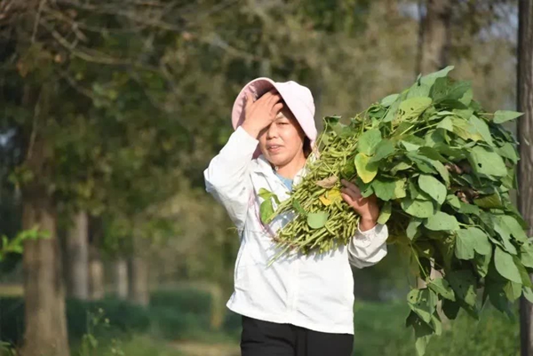 亳州一警嫂荣获国家级荣誉