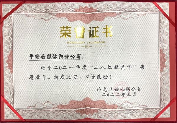 巾帼展风采 奉献她力量|平安金服洛阳分公司荣获多项三八荣誉