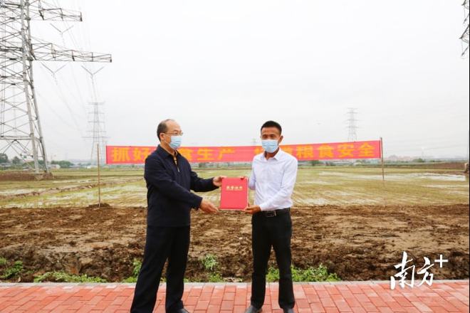 春日里，东莞“种粮大户”收到了他的国家级荣誉证书