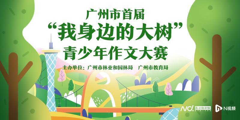 “我身边的大树”青少年作文大赛启动！图文并茂记录花城美