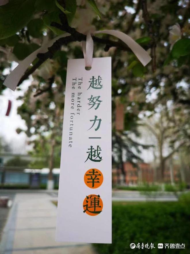 第四届“寻找山东最美大学校园”微视频/摄影大赛启动！拍起来！
