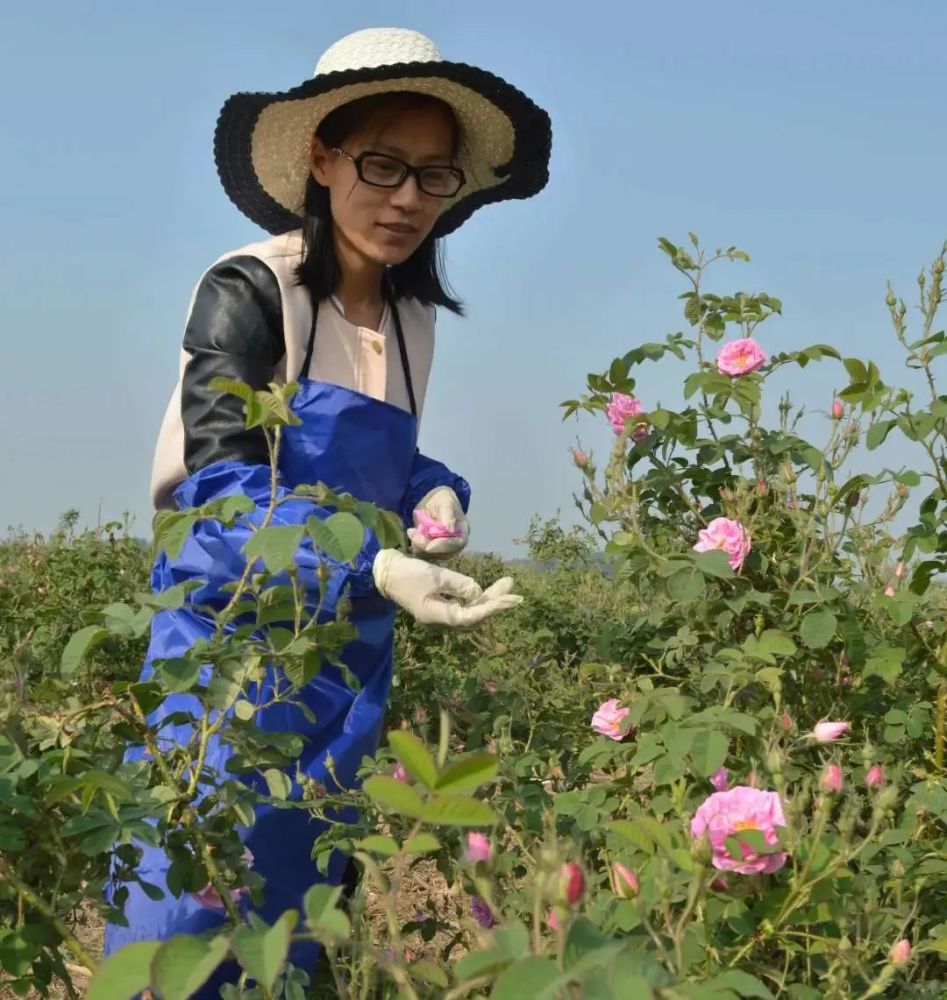 林州一女性被授予“河南省乡村出彩巧媳妇”荣誉称号