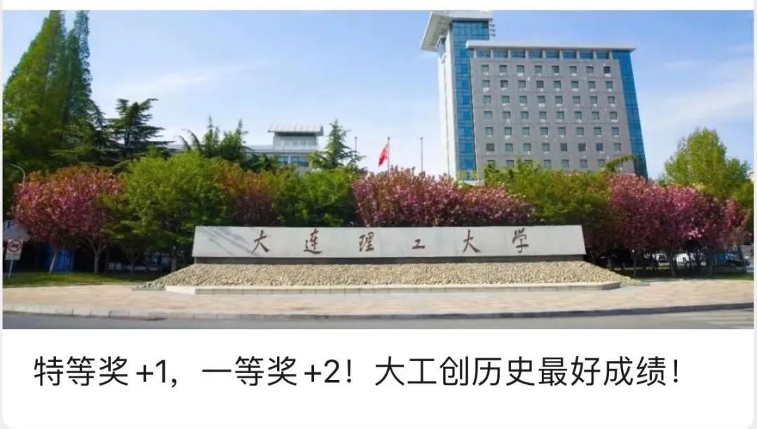 铺就核酸扩增“高速轨道”！大工学生团队斩获全国大赛特等奖！