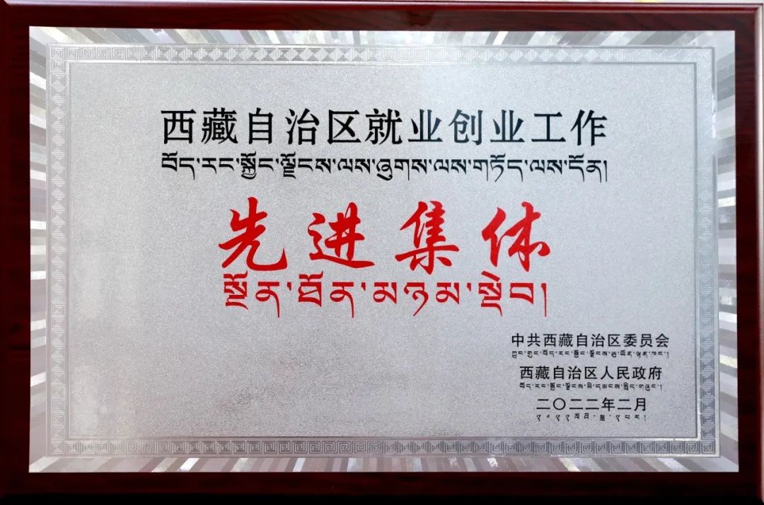 农行西藏分行荣获西藏自治区就业创业工作先进集体荣誉称号