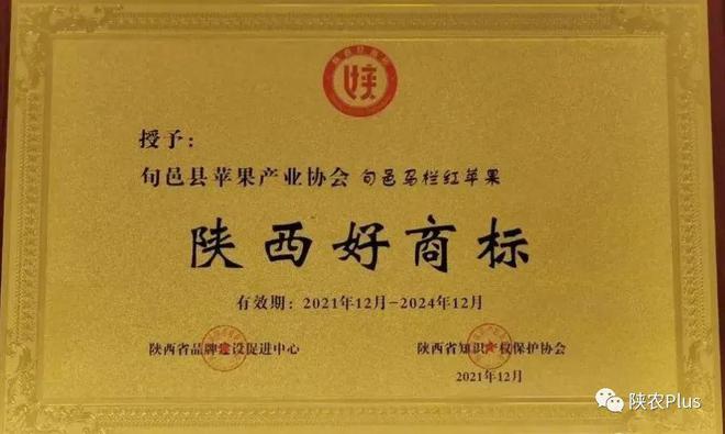 陕西农产品区域公用品牌展示‖“旬邑马栏红苹果”荣获“陕西好商标”荣誉称号