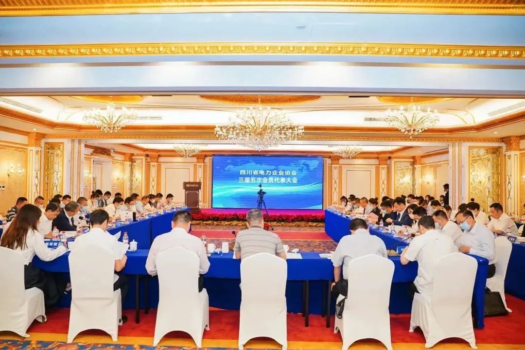 给力！华东电气集团实力斩获电力行业“优质服务”企业荣誉称号