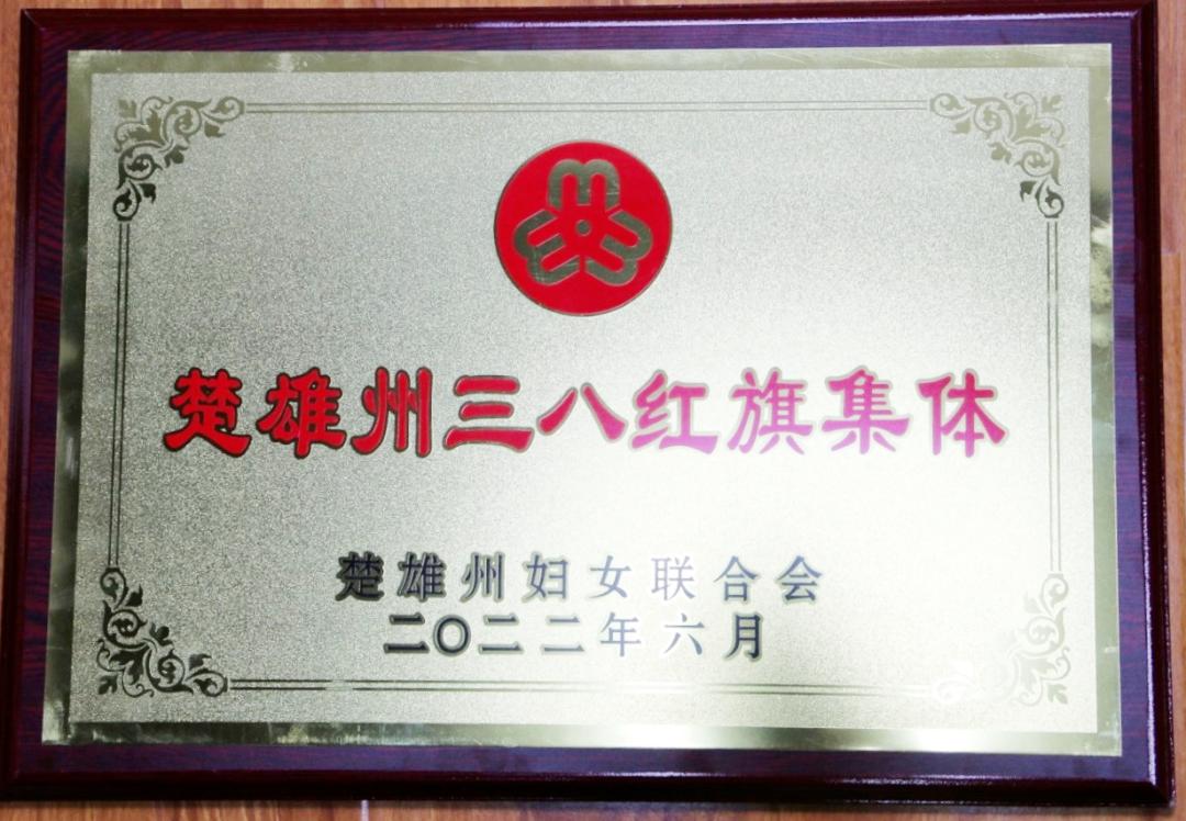 禄丰市人民法院荣获“楚雄州三八红旗集体”“五一巾帼标兵岗”荣誉称号