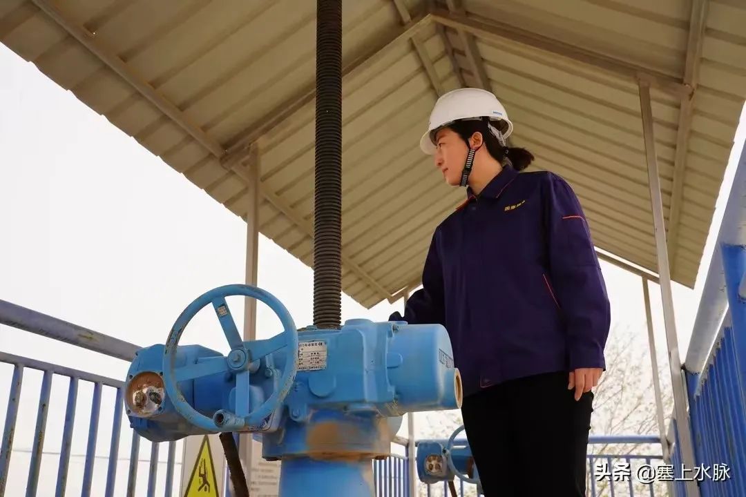 水利厅1人1集体喜获自治区三八红旗手（集体）荣誉称号