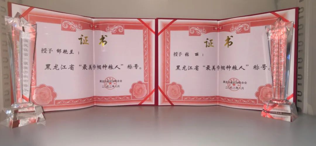 喜报：宝清县两人喜获省级“最美巾帼种粮人”称号