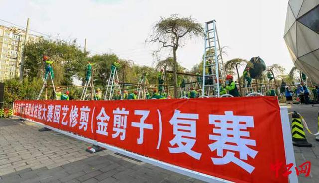 2023年北京市职工职业技能大赛——第四届园林绿化树木修剪“金剪子”大赛即将拉开帷幕