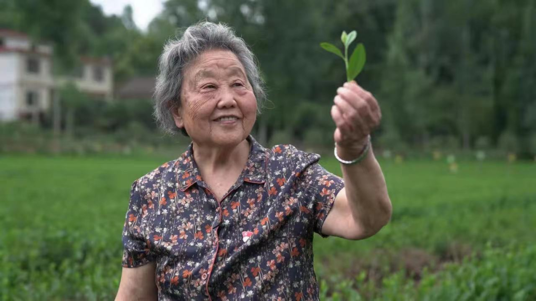 喜讯！张淑珍荣获全国三八红旗手称号