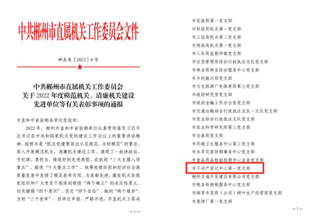 喜报！郴州市不动产登记中心第一党支部荣获 “先进基层党组织”称号