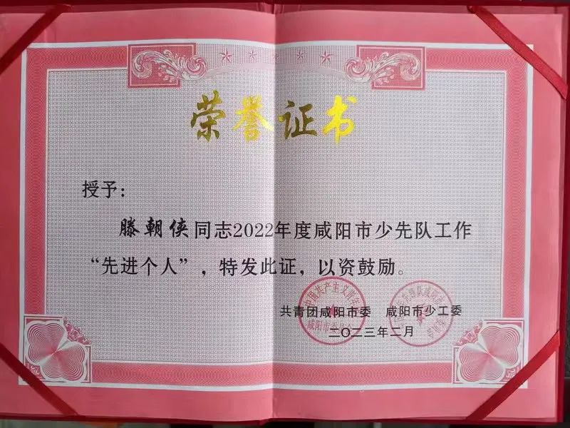 兴平法院滕朝侠法官被授予少先队工作“先进个人”荣誉称号