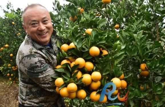 秦兆宏荣获“全国林草乡土专家”称号