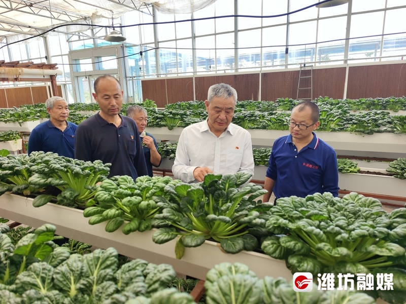 潍坊4人荣获“全国农业农村劳动模范”称号