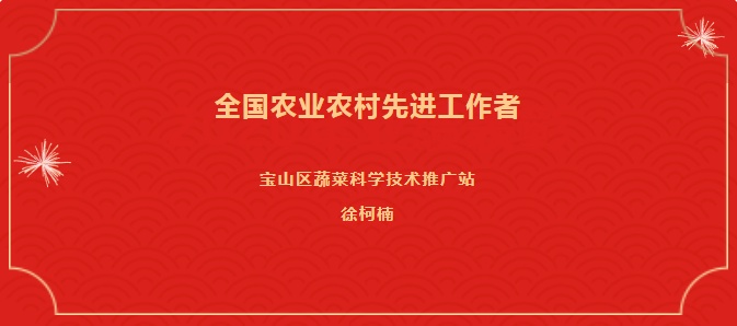 宝山的他荣获全国农业农村先进工作者称号！