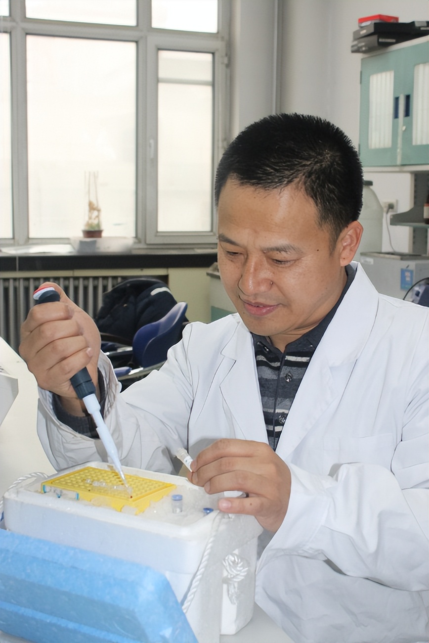 致敬！这两名高校教师被授予第九届黑龙江省道德模范和道德模范提名奖荣誉称号