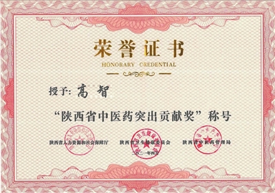 榆林市中医医院高智荣获“陕西省中医药突出贡献奖”荣誉称号